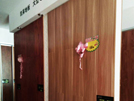 城固凱萊專賣店